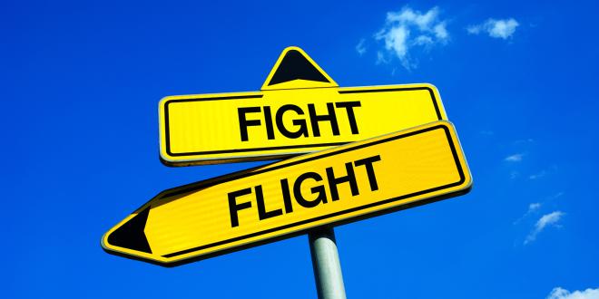 two roadsigns indicating a choice between fight or flight